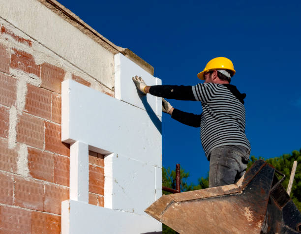 Best Insulation Installation Services in Mapleton, MN