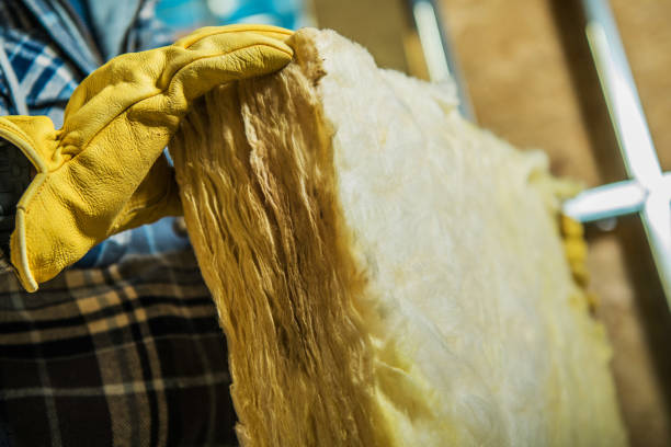 Best Commercial Insulation in Mapleton, MN