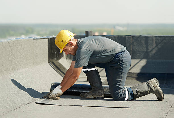 Best Residential Insulation in Mapleton, MN